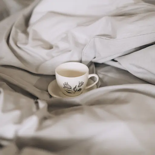 Комплект постельного белья Кретон 100% хлопок серый серебристый Silver - двуспальный - фото 2