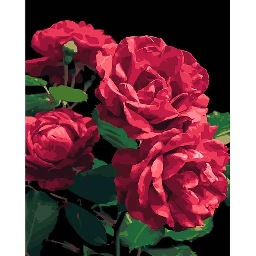 Набор для росписи по номерам Strateg Розы на чёрном фоне 40 х 50 см (AH1187-18) - фото 1