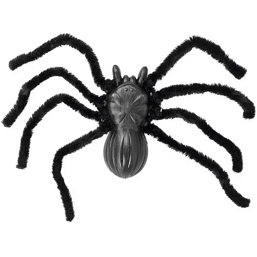 Паук черный - фото 1
