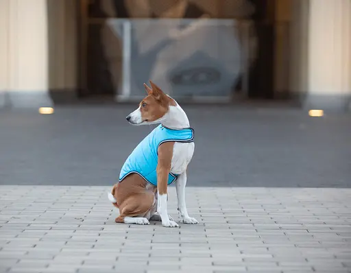 Курточка-накидка для собак AiryVest, M, B 52-62 см, С 36-47 см блакитний [CD] - фото 8