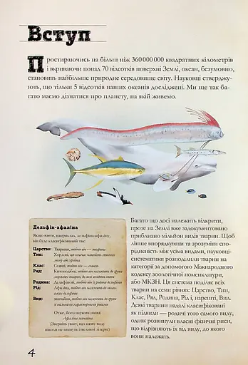 Морські тварини світу. Нотатки, малюнки та спостереження про тварин, що живуть в океані - фото 6