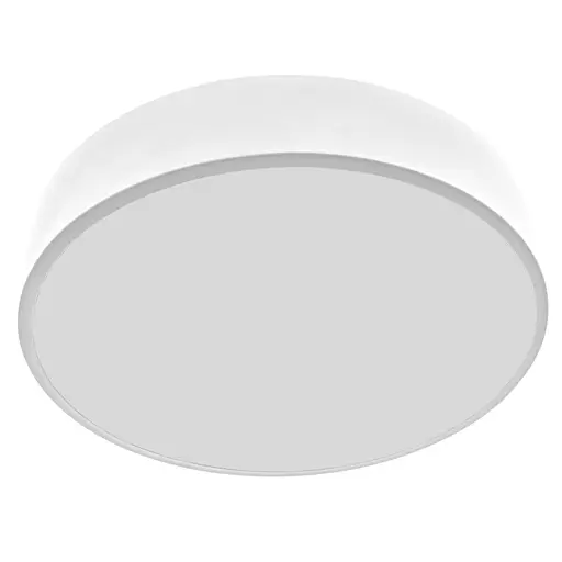 Светильник светодиодный настенно-потолочный накладной Brille WBL-20/24W CW WH