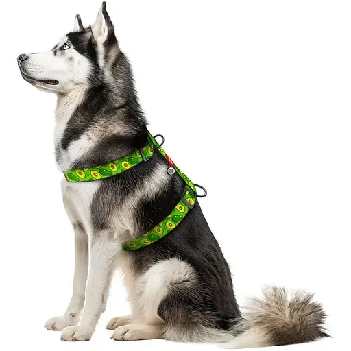 Шлейка для собак Waudog Nylon анатомическая H-образная с QR-паспортом, рисунок "Авокадо", пластиковый фастекс, XL - фото 3