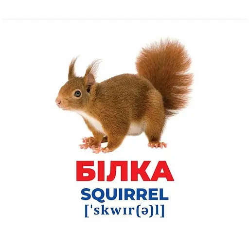 Набір розвиваючих карток Геній з пелюшок "Тварини України" Ранок 10107192У, 17 карток - фото 2