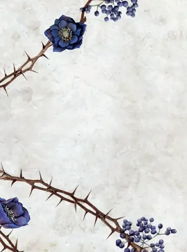 Сага сестер-відьом. Сестра зірок - фото 4