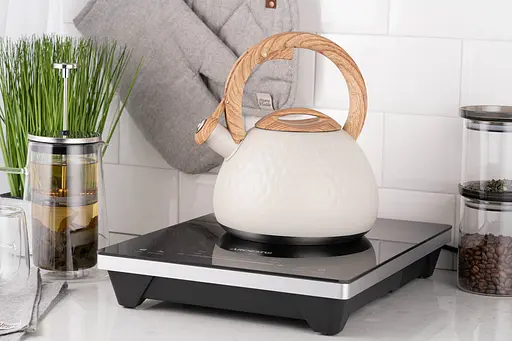 Чайник Ardesto Gemini 2.5 л нержавеющая сталь - фото 5