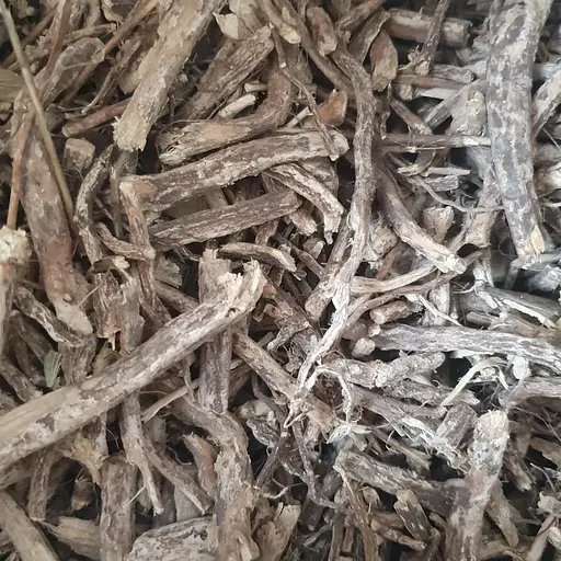 100 г стальник пашинный полевой корень - свежий урожай