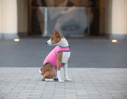 Курточка-накидка для собак AiryVest, S, B 41-51 см, С 25-35 см рожевий [CD] - фото 8