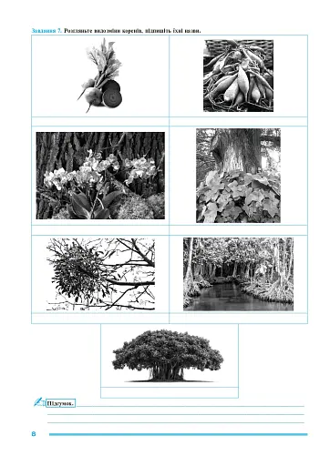 Біологія. 7 клас. Практикум (за програмою Балан П. Г., Кулініч О. М., Юрченко Л. П.) - фото 6