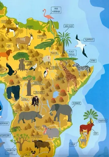 Дитячий простір : Тварини і рослини світу / Animals and plants of the world (Українська ) - фото 8