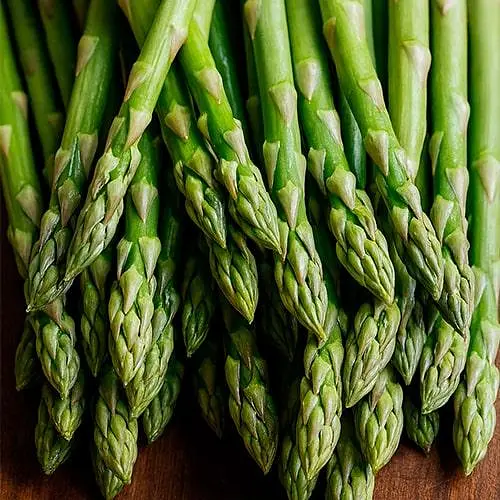 Спаржа делікатесна "Ramires F1" (гібрид зеленої спаржі, ранній сорт) (188111) (Корневище) 1 саджанець в упаковці - фото 1