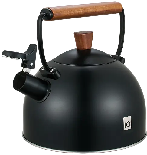 Чайник IQ Вe Natural 2,5 л (7004629) - фото 4