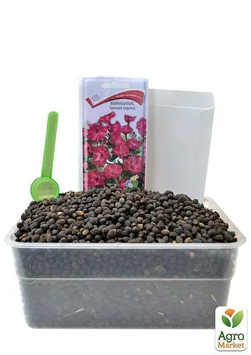 Мирабилис "Красный" Весна 3г (22454) - фото 2