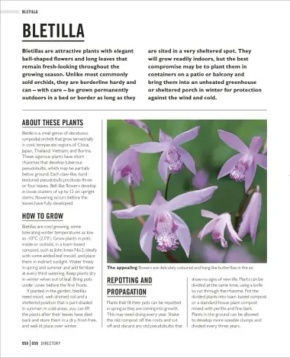 Grow Orchids. Essential Know-how and Expert Advice for Gardening Success - фото 8