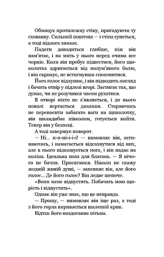 Привіт, сусіде. Книга 4. Давні образи - фото 9