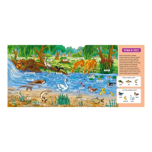 Мій перший словничок "У лісі" Ранок 116032 з віконцями - фото 3