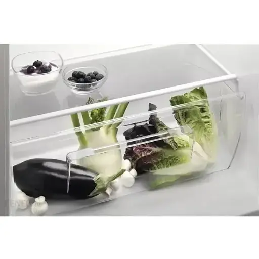 Холодильная камера Electrolux LRB2AE88S - фото 2