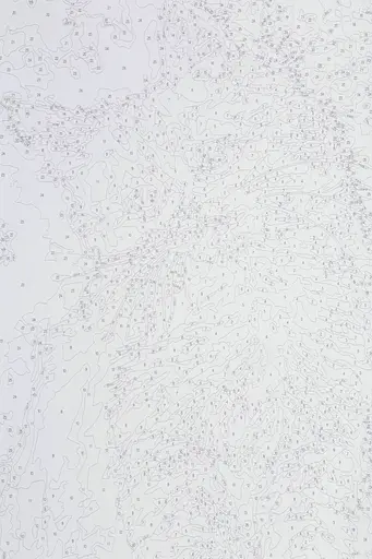 Набір для розпису по номерах "Руденьке котеня" 40*50 см, IDEA2-GX45731, ТМ "99IDEAS" - фото 7