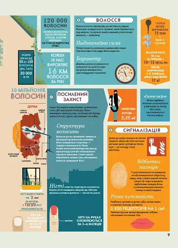 Крутезна інфографіка : Анатомія - фото 9