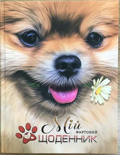 Щоденник шкільний, 165x208 мм, обкладинка 7БЦ, 40 аркушів, SD1739