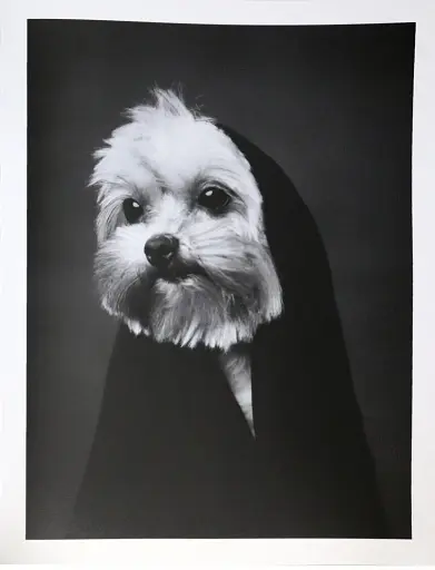 The Dogs: Human Animals - фото 3