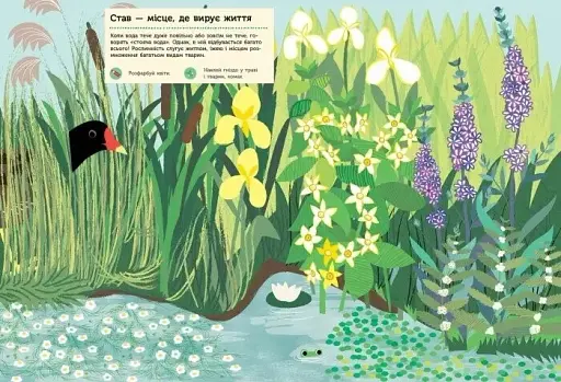 Моя книга природи: Річка і ставок - фото 3