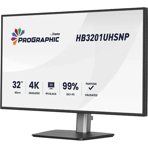 Монитор Iiyama 31.5" HB3201UHSNP-B1 UHD IPS 60Hz (HB3201UHSNP-B1) - фото 6