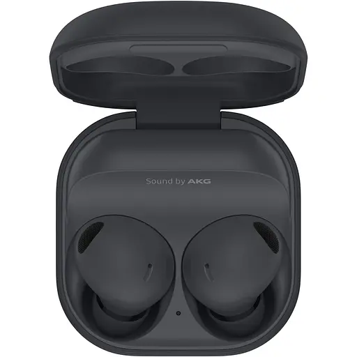 Наушники Bluetooth Samsung Galaxy Buds 2 Pro R510 Graphite (SM-R510NZAASEK) - фото 2
