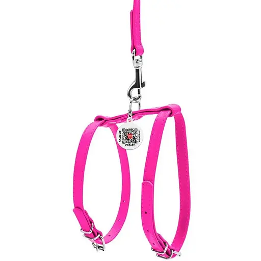 Шлея з повідцем для собак Waudog Glamour шкіряна з QR паспортом, рожевий - фото 2
