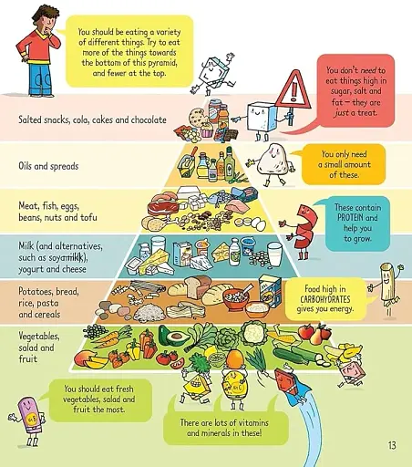 Look Inside. What Happens When You Eat - фото 3