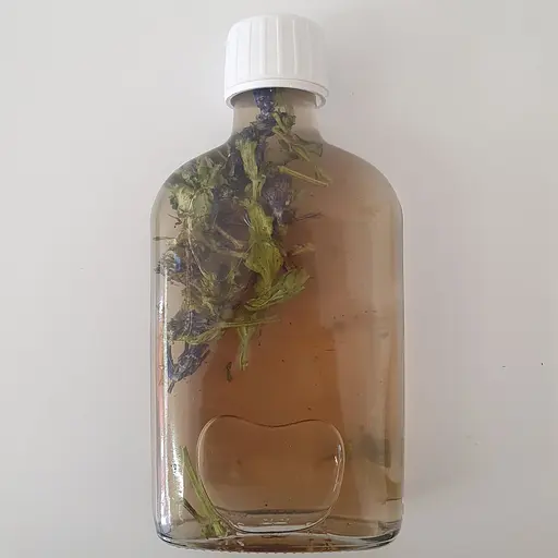 Водная настойка на траве живучка ползучая 200 мл - фото 2