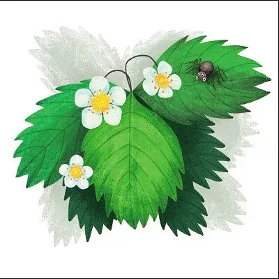 Лисичка Френні шукає чорницю. Друзі з лісу - фото 11