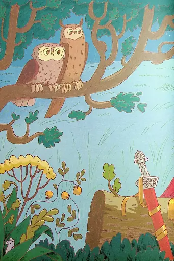 Сови короля Данила - фото 13