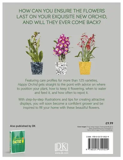 Happy Orchid - фото 2