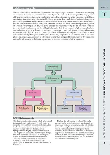 Wheater's Basic Pathology: A Text, Atlas, and Review of Histopathology. International Edition, 5th Edition - фото 6