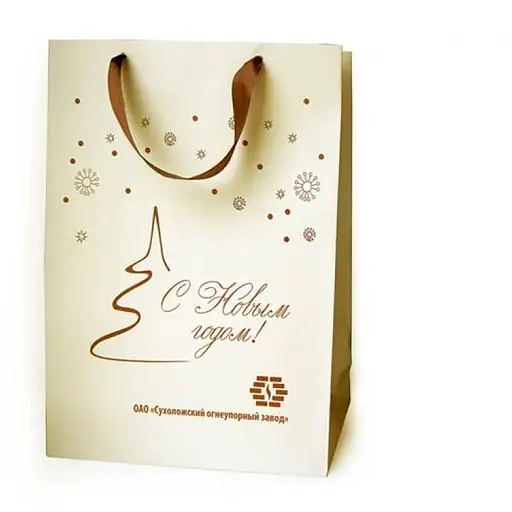 Пакет бумажный Новогодний большой