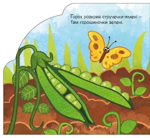 Веселка. У садку і на городі - фото 4