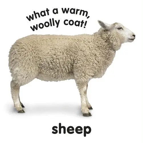 Baby Touch and Feel. Farm Animals - фото 4