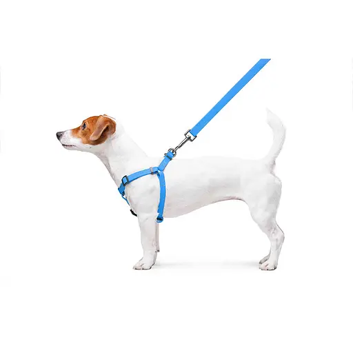 Шлея для собак водостійка Waudog Waterproof з QR-паспортом металічна пряжка-фастекс Ш 15 мм Д 40-55 см блакитний - фото 8