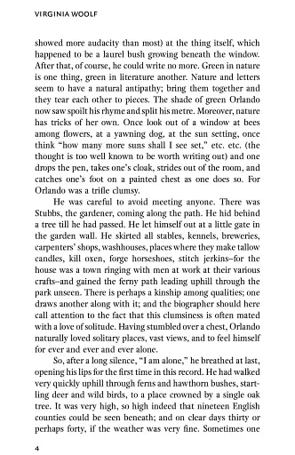 Orlando - фото 6