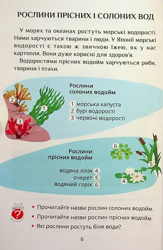 Я досліджую світ. 1 клас. Посібник-практикум. Частина 4 - фото 6