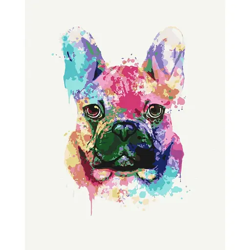 Картина по номерам Красочный бульдог Brushme 40x50 см разноцветная 000221123