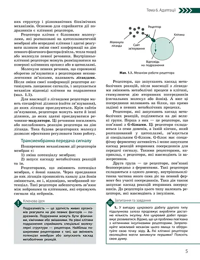 Біологія і екологія. Підручник. Профільний рівень. 11 клас - фото 4
