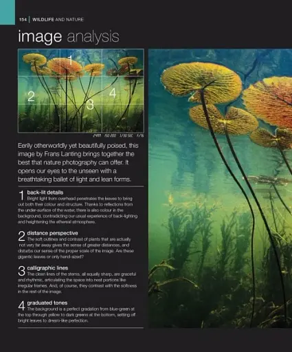 Digital Photography Complete Photographer - фото 4