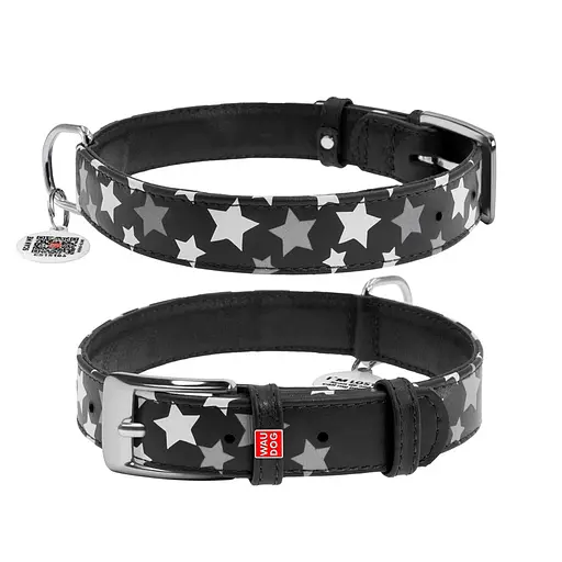 Ошейник для собак кожаный Waudog Glamour с QR-паспортом узор "Звездочка" светонакопительный/светоотражающий M Ш 20 мм,