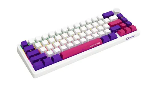 Клавіатура Lorgar KBP70MW Pro Wireless 65% Compact Black White EN/UA (LRG-KBP70MW-WH-US) - фото 4