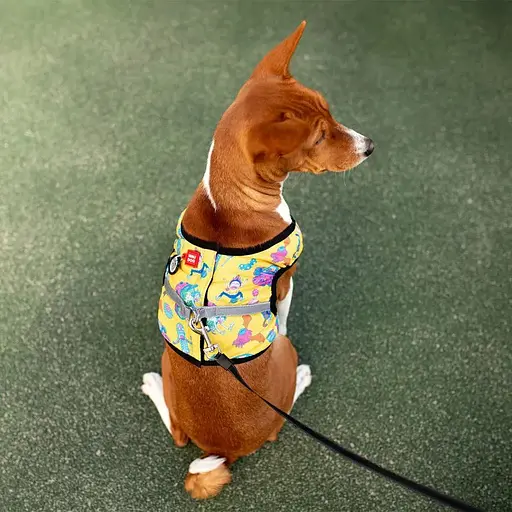 Шлейка для собак Waudog Clothes мягкая с QR-паспортом, рисунок "Рик и Морти 3", S1 - фото 5