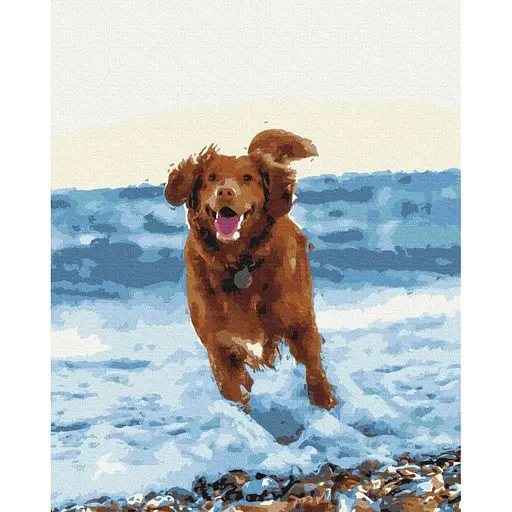 Картина по номерам на підрамнику Brushme Собачка в морі - фото 1