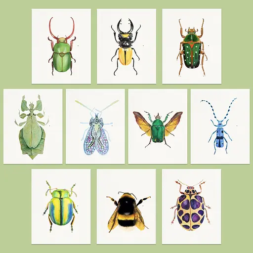 Открытки для раскраски Насекомые - Ольга Марс - фото 3