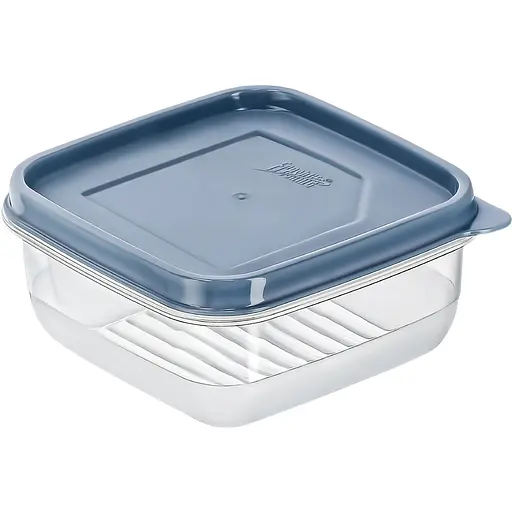 Контейнер для хранения продуктов Freshlife квадратный с крышкой 0.25 л (D-372)